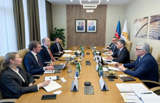 AzerGold Chairman meets with Vice President of Wood Mackenzie