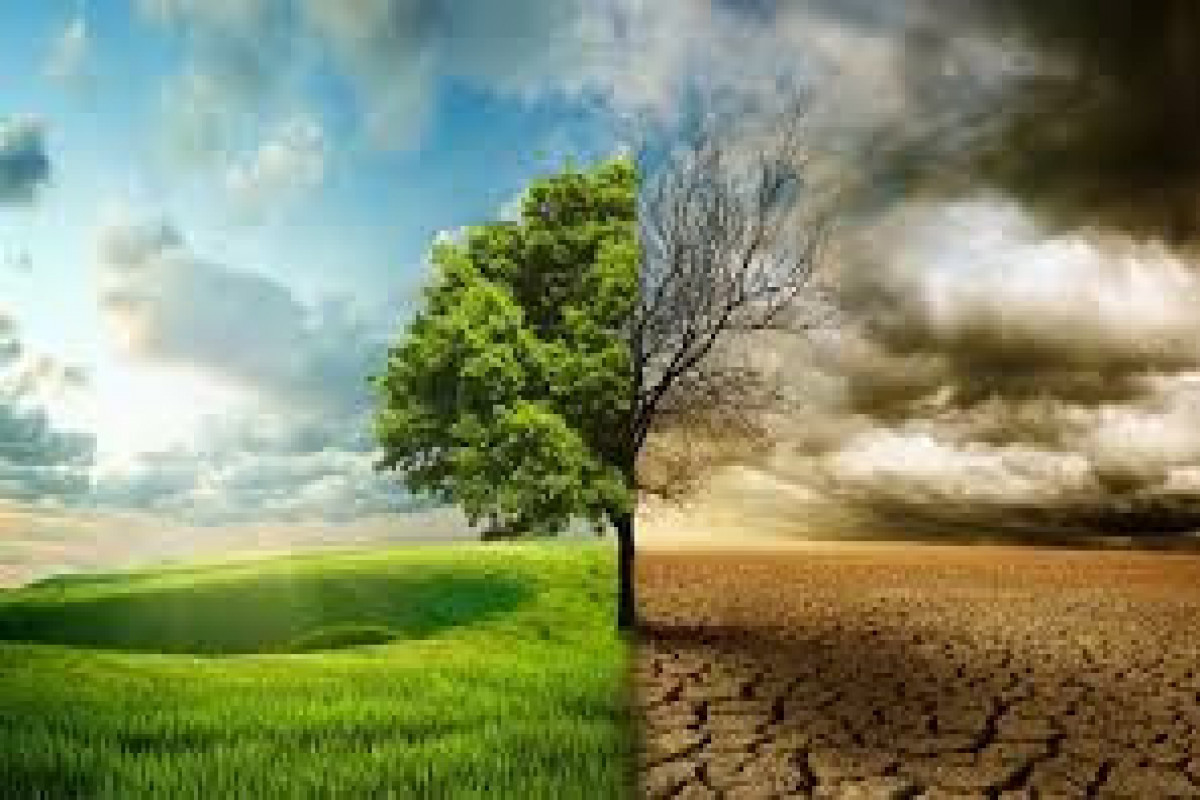 Climate-related spending in Azerbaijan set at 1.3 bln manats for 2026