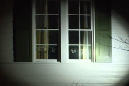 Windows smashed at US Vice President's home in Ohio -VIDEO 