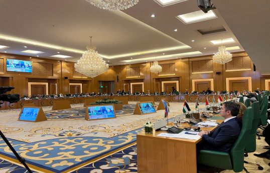 Azerbaijan's Deputy FM attends OIC extraordinary meeting on Somalia-PHOTO 