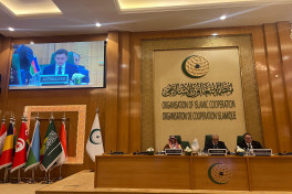 Azerbaijan's Deputy FM attends OIC extraordinary meeting on Somalia-PHOTO 