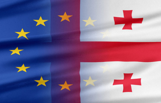 Vice Speaker: EU is encouraging conflict in Georgia