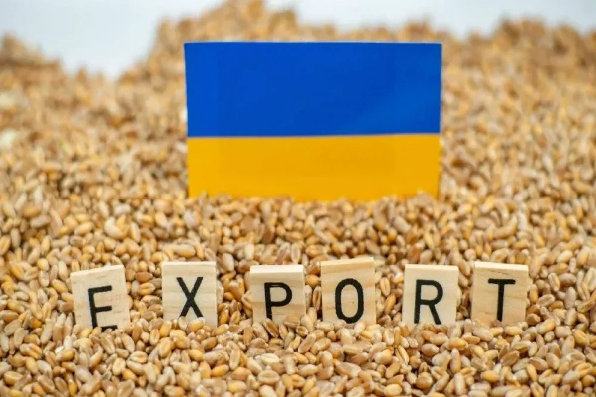 Sybiha says in 2025, Russia stole more than 2 million tons of Ukrainian grain