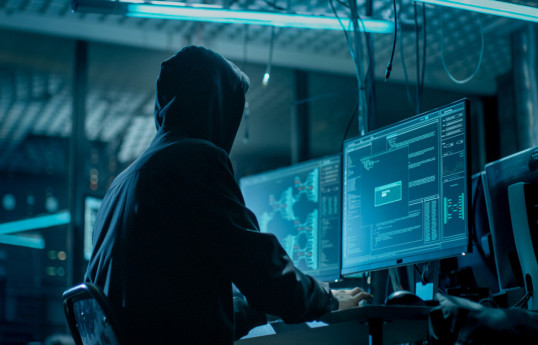 Georgia launches investigation into possible cyberattack on government administration website