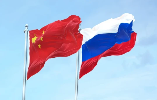 China halts imports of electricity from Russia