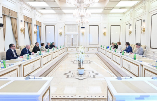 Speaker of Azerbaijani Parliament meets with NATO Deputy Secretary General