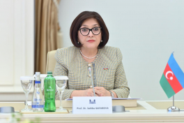 Speaker of Azerbaijani Parliament meets with NATO Deputy Secretary General