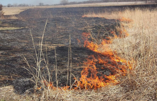 Azerbaijan introduces higher fines for repeated burning of cropland