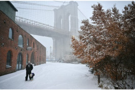 Death toll rises to 18 in the US after severe snowstorm -UPDATED 