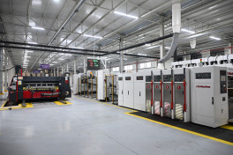 Cardboard and box packaging production facility inaugurated in Sumgayit Industrial Park-PHOTO 