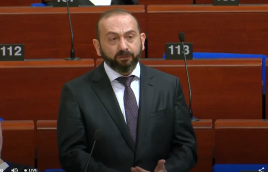 Ararat Mirzoyan, Armenian FM