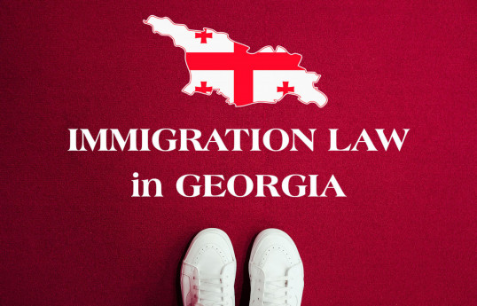 Tougher side of Georgian hospitality: Simplified deportations, entry bans, work permit requirement -RESEARCH 