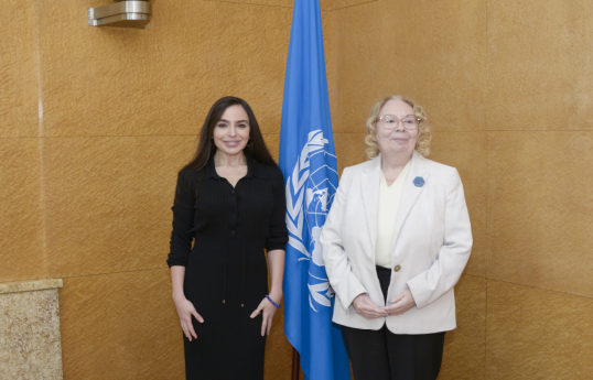 Leyla Aliyeva meets with Director-General of UN Office at Geneva