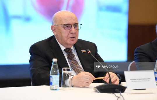 Chairman of the Milli Majlis Healthcare Committee, Ahliman Amiraslanov