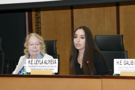 Leyla Aliyeva attends discussions on environmental problems of Caspian Sea in Geneva