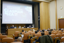 Leyla Aliyeva attends discussions on environmental problems of Caspian Sea in Geneva