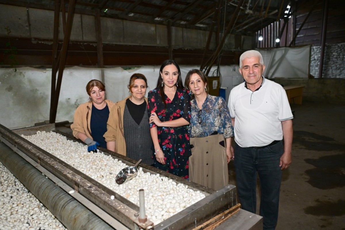 Leyla Aliyeva visits Azeripek OJSC
