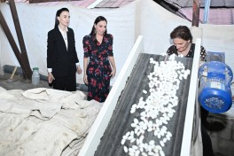 Leyla Aliyeva visits Azeripek OJSC