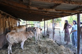 Leyla Aliyeva meets “Young Beekeeper” project participant in Yevlakh - PHOTO 