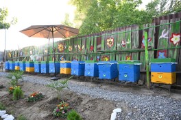 Leyla Aliyeva meets “Young Beekeeper” project participant in Yevlakh - PHOTO 
