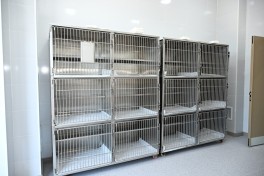 Leyla Aliyeva attends opening of regional branch of Stray Animal Care Center in Yevlakh - PHOTO 