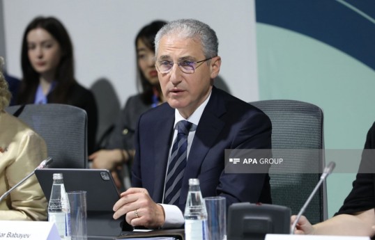 Azerbaijan's Presidential Representative on Climate Issues and COP29 President Mukhtar Babayev
