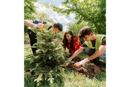 Leyla Aliyeva attends opening of individual exhibition and tree-planting campaign in Gabala-PHOTO 