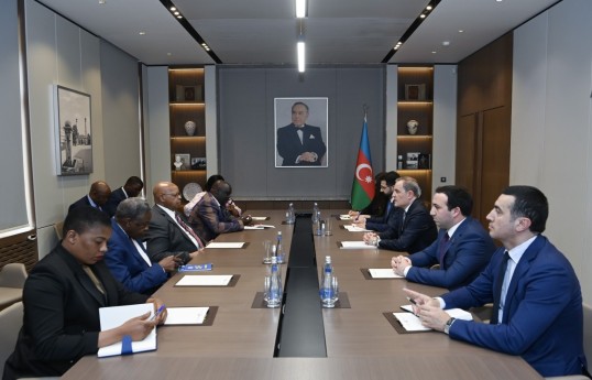 Azerbaijan's foreign minister meets with Speaker of Zimbabwe's National Assembly