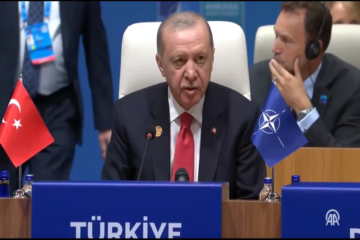 Recep Tayyip Erdoğan, Turkish President