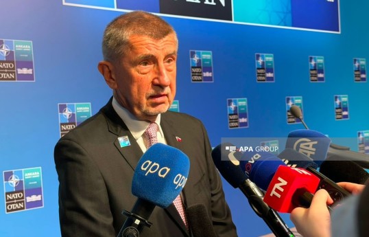 Czech Prime Minister Andrej Babiš