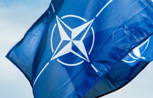 Official opening ceremony of NATO's 36th Summit begins in Ankara