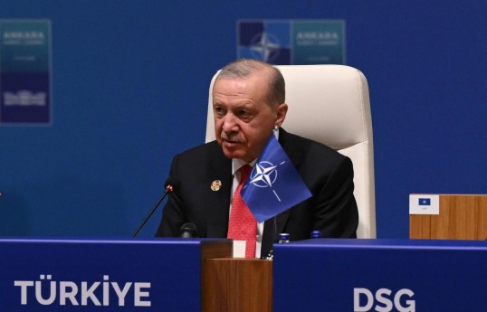 Recep Tayyip Erdogan, Turkish President