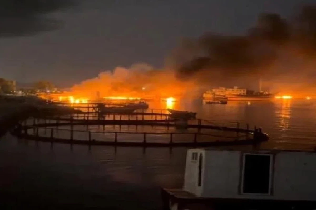 Iran says 14 killed, 78 injured in recent U.S. strikes
