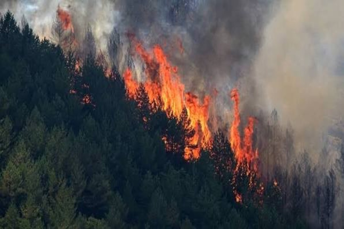 12 killed in southern Spain wildfire