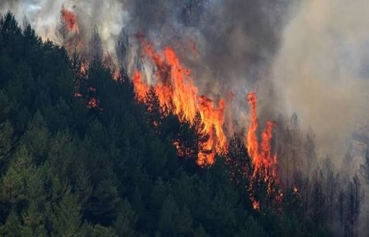 12 killed in southern Spain wildfire