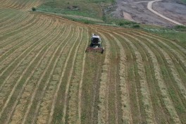 Grain harvesting begins in Khojaly and Aghdara after 34 years - PHOTO 