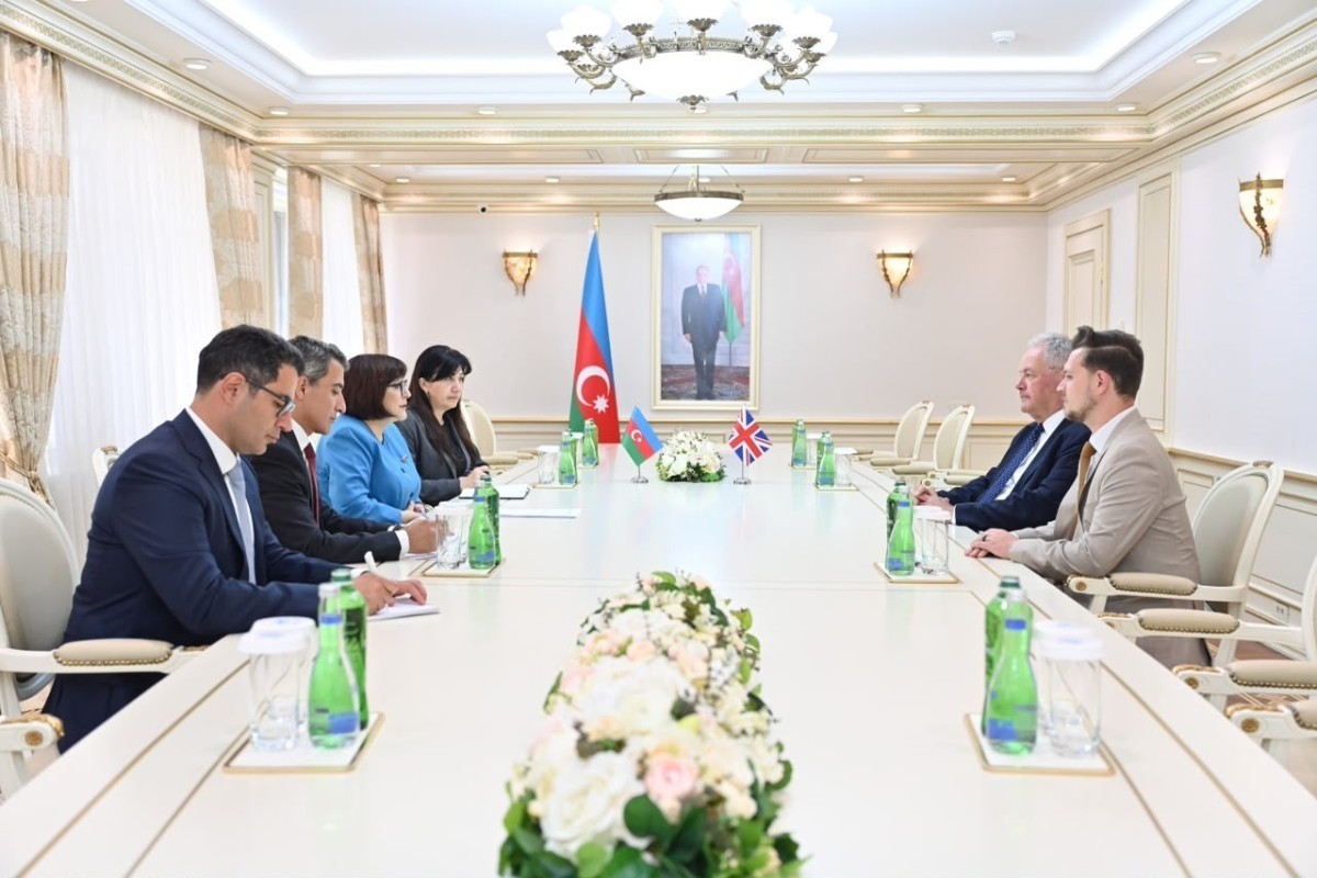 Speaker of Azerbaijani Parliament meets head of UK-Azerbaijan parliamentary friendship group