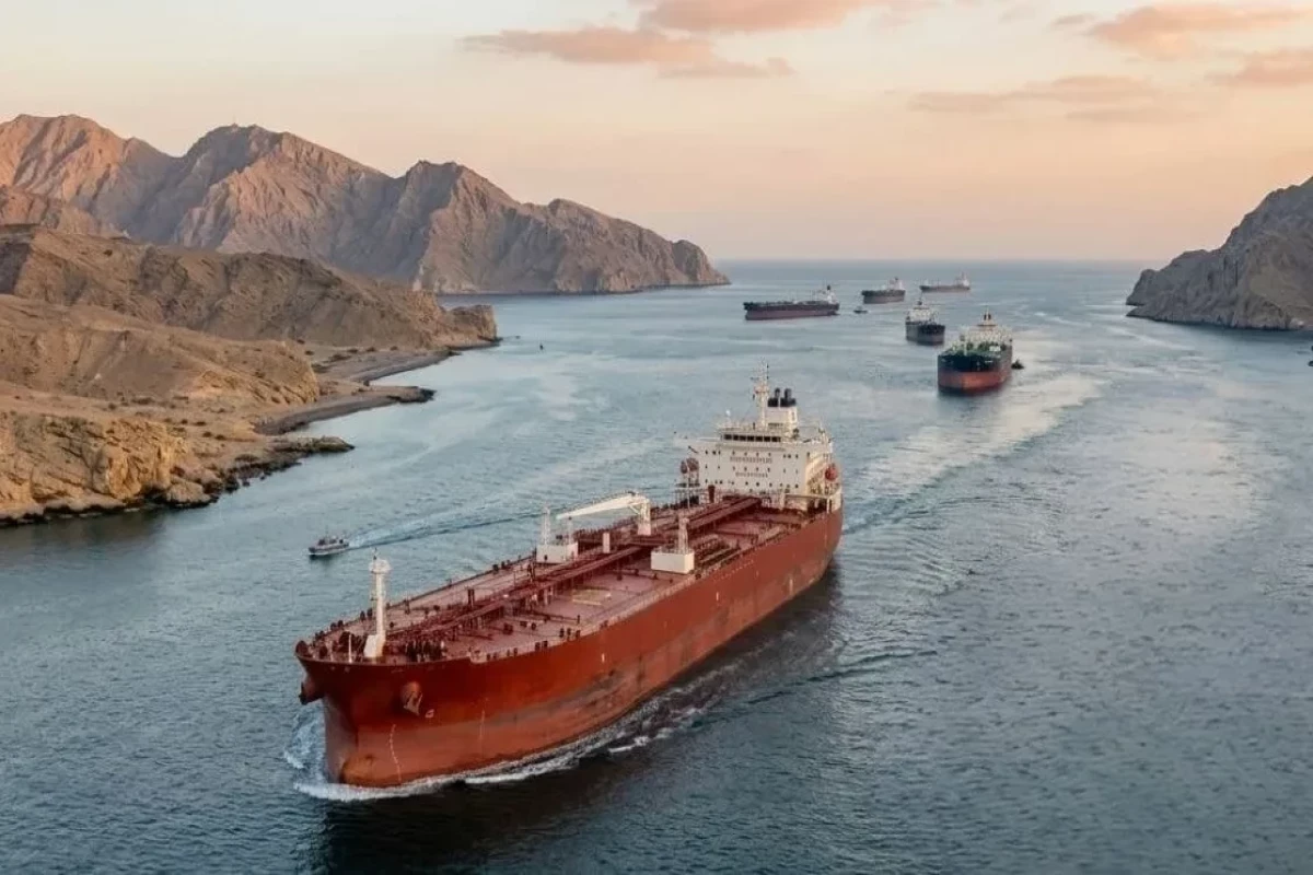 Gulf states oppose Hormuz shipping tax - Trump