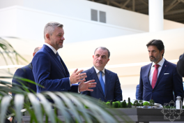 Slovak President departs Fuzuli Airport for Baku-PHOTO 