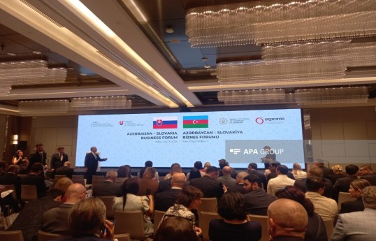 Azerbaijan-Slovakia Business Forum underway in Baku