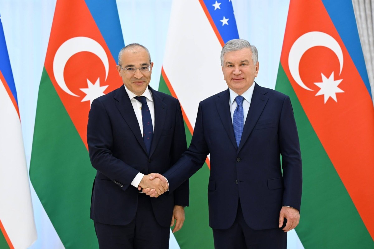 Azerbaijani Economy Minister received by Uzbekistan President