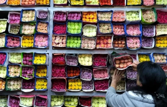 Rosselkhoznadzor suspected the re-export of Armenian flowers through Iran