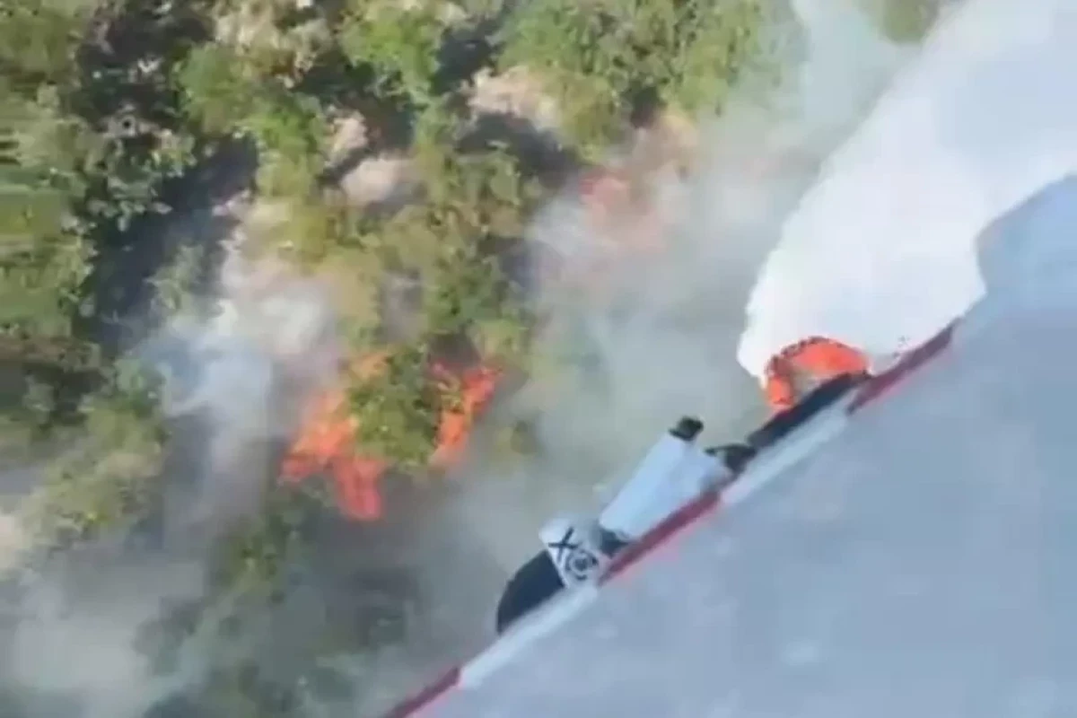 Forest fires break out in Türkiye