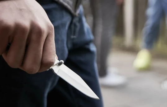 Eight injured in stabbing incident at event in Germany