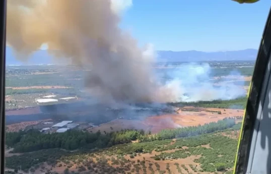Forest fires break out in three regions of Türkiye, residents evacuated