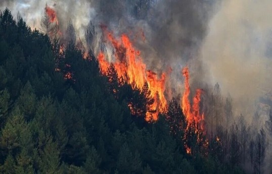 Spain declares national emergency over wildfires near Madrid and in Avila