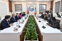Speaker of Azerbaijani Parliament met with Speaker of the Ethiopian House of People's Representatives-PHOTO 