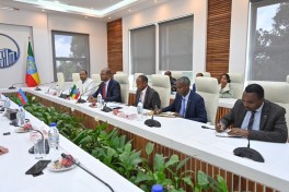 Speaker of Azerbaijani Parliament met with Speaker of the Ethiopian House of People's Representatives-PHOTO 