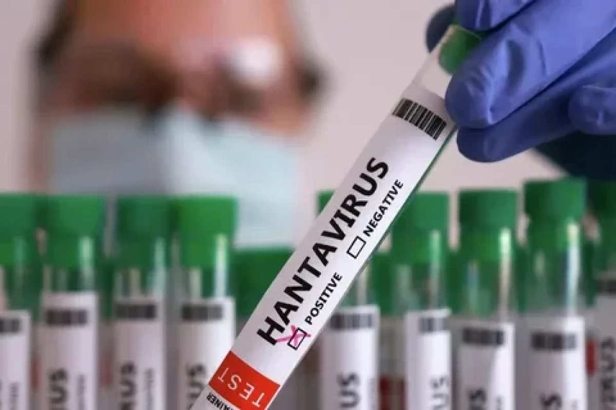 Chile declares health alert over hantavirus fatality rate