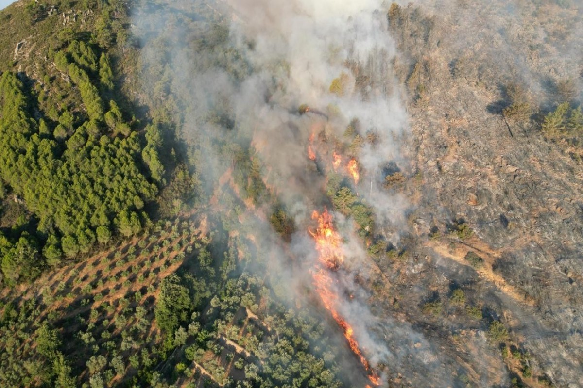 Wildfire in Türkiye
